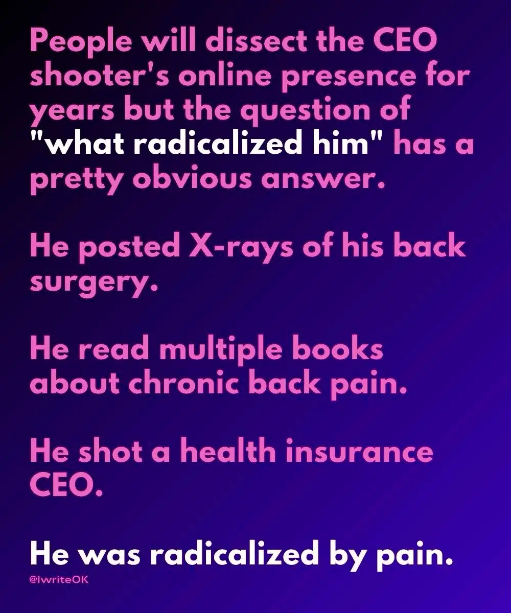 A purple gradient background displays pink and white text listing reasons why a CEO shooter was radicalized: posting X-rays…