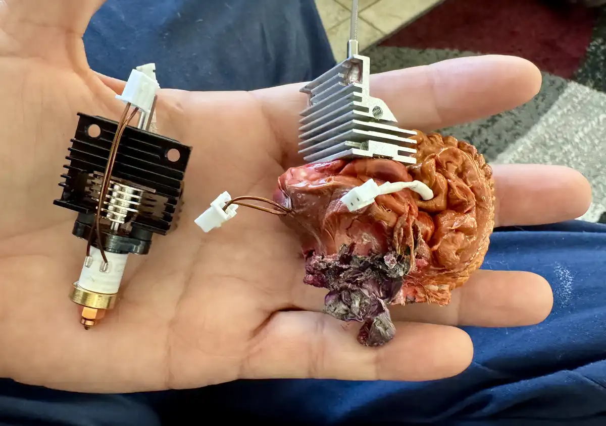 A person's open palm holds a human brain model with a silver heatsink and wires attached, next to a similar…