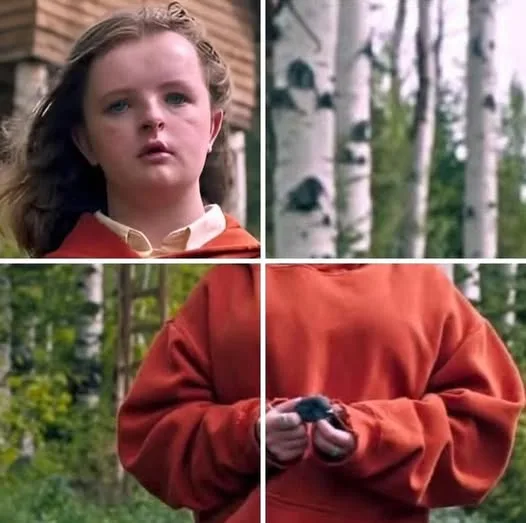 A four-panel image collage from the movie 'The Chronicles of Narnia: The Lion, the Witch and the Wardrobe'. Top left: a…
