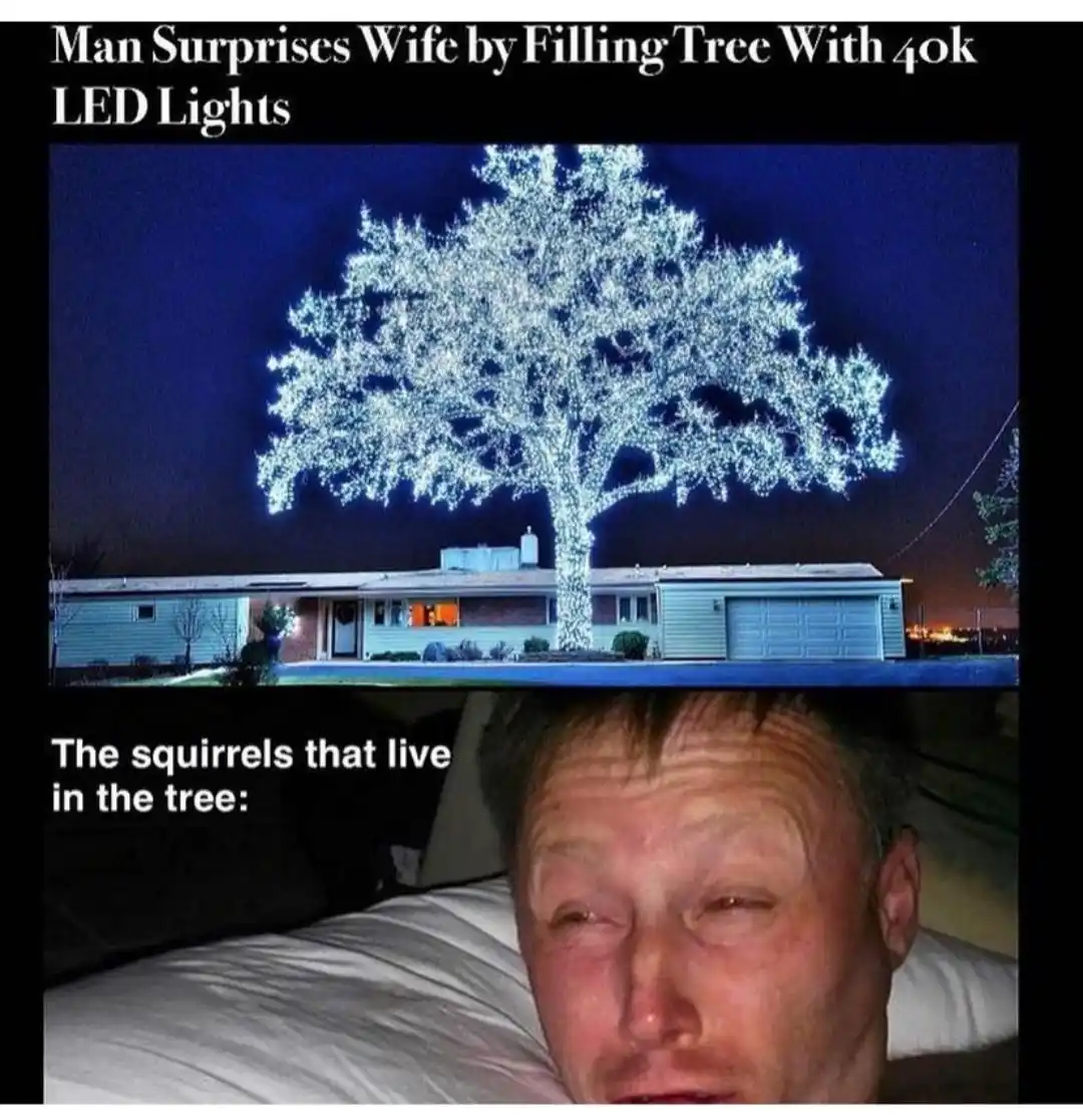 The top panel shows a large tree outside a house at night, completely covered in bright white LED lights. The bottom panel…