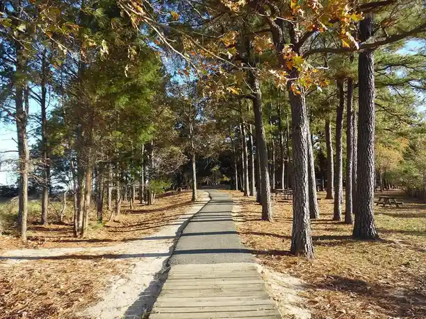 The Journey Begins: A Pathway to Discovery