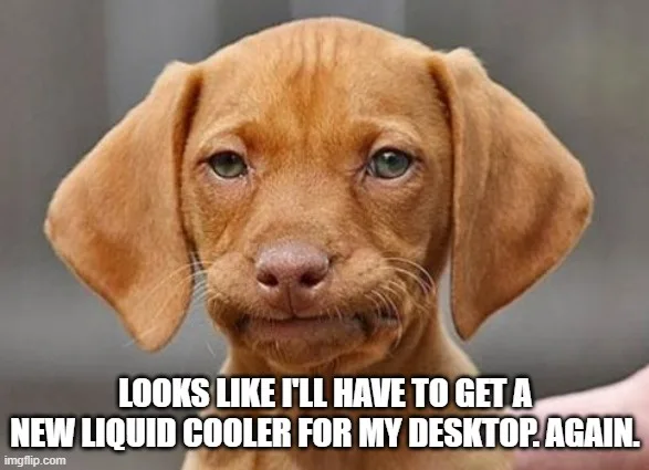 A close-up photo of a brown puppy with large, droopy ears and sad, pleading eyes looking directly at the camera. White text…