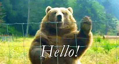 A brown bear stands behind a wire fence in a grassy field with trees in the background, waving its paw repeatedly in a…