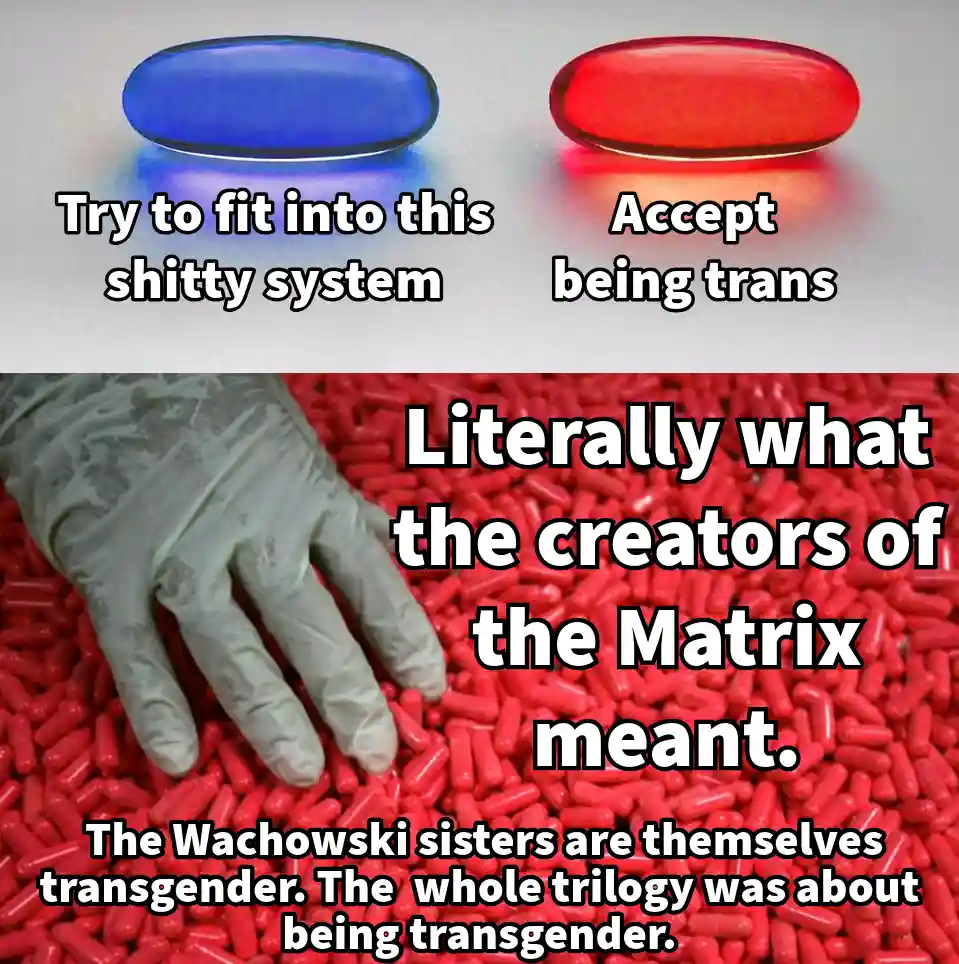The image is split into two parts. The top shows two pills, one blue and one red, labeled 'Try to fit into this shitty…