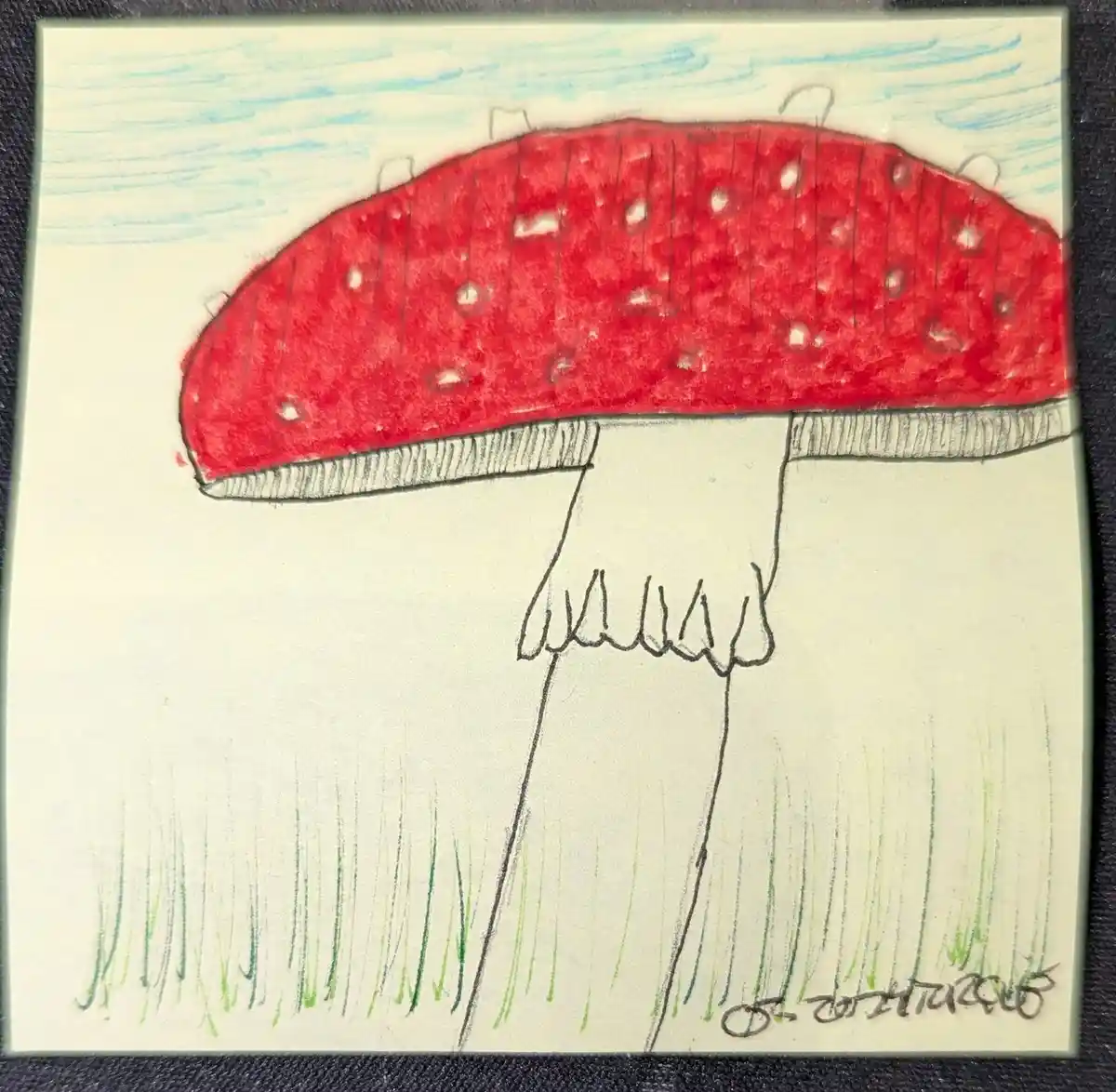 A childlike drawing of a red-capped mushroom with white spots, standing in green grass under a blue sky. The mushroom's stem…