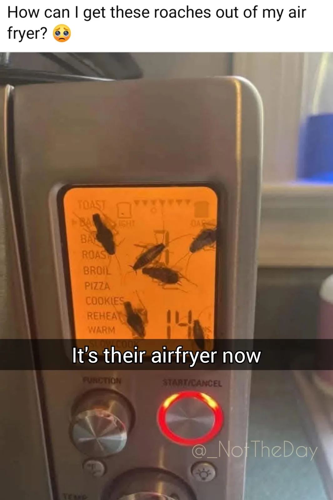 They've got it all figured out!