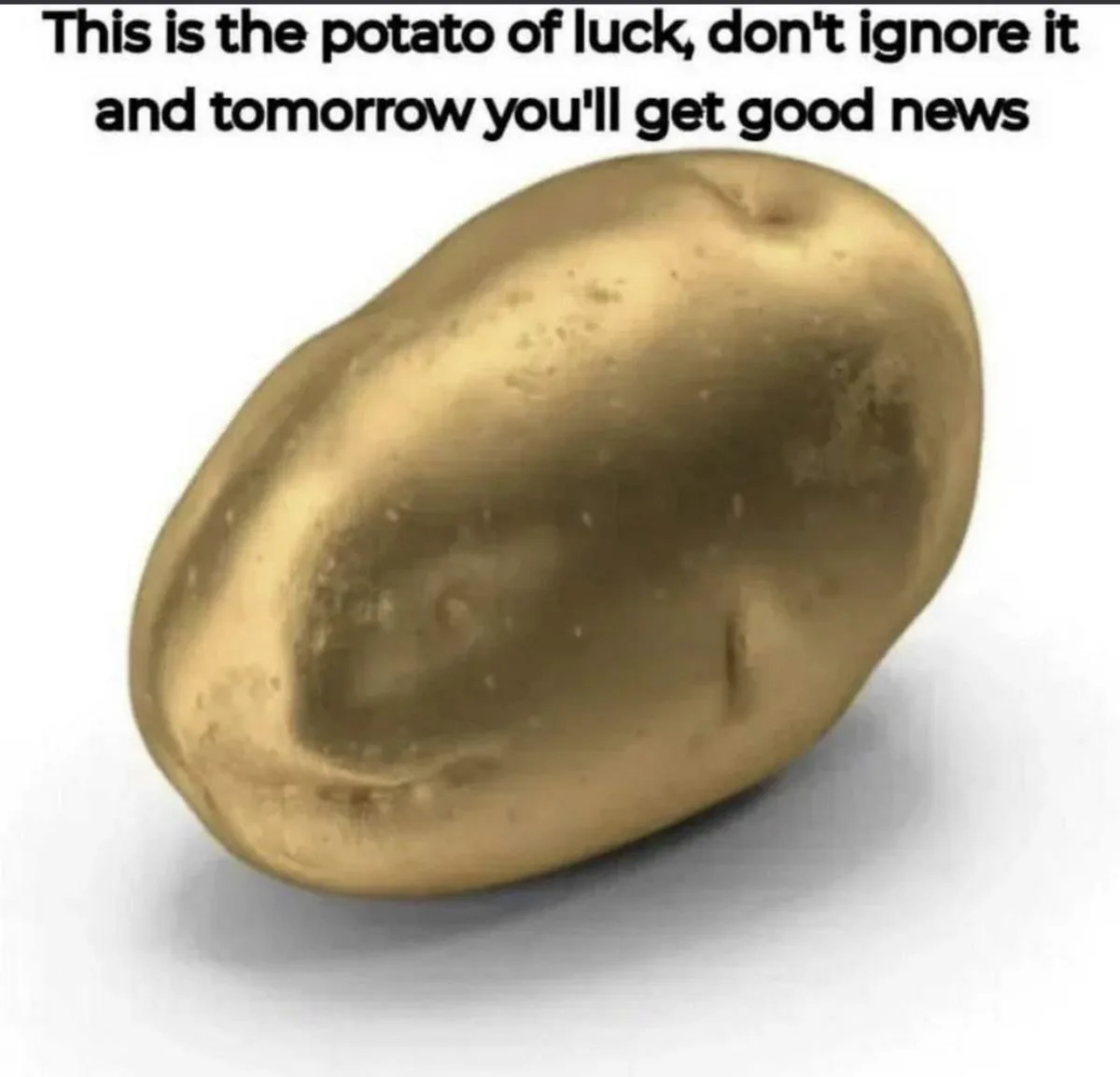 A single, shiny golden potato is centered on a plain white background. Overlaid text at the top reads: 'This is the potato…