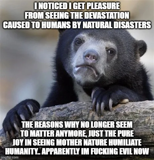A black bear with a smug, self-satisfied expression rests its paws on a log. White text overlaid in two blocks reads: 'I…