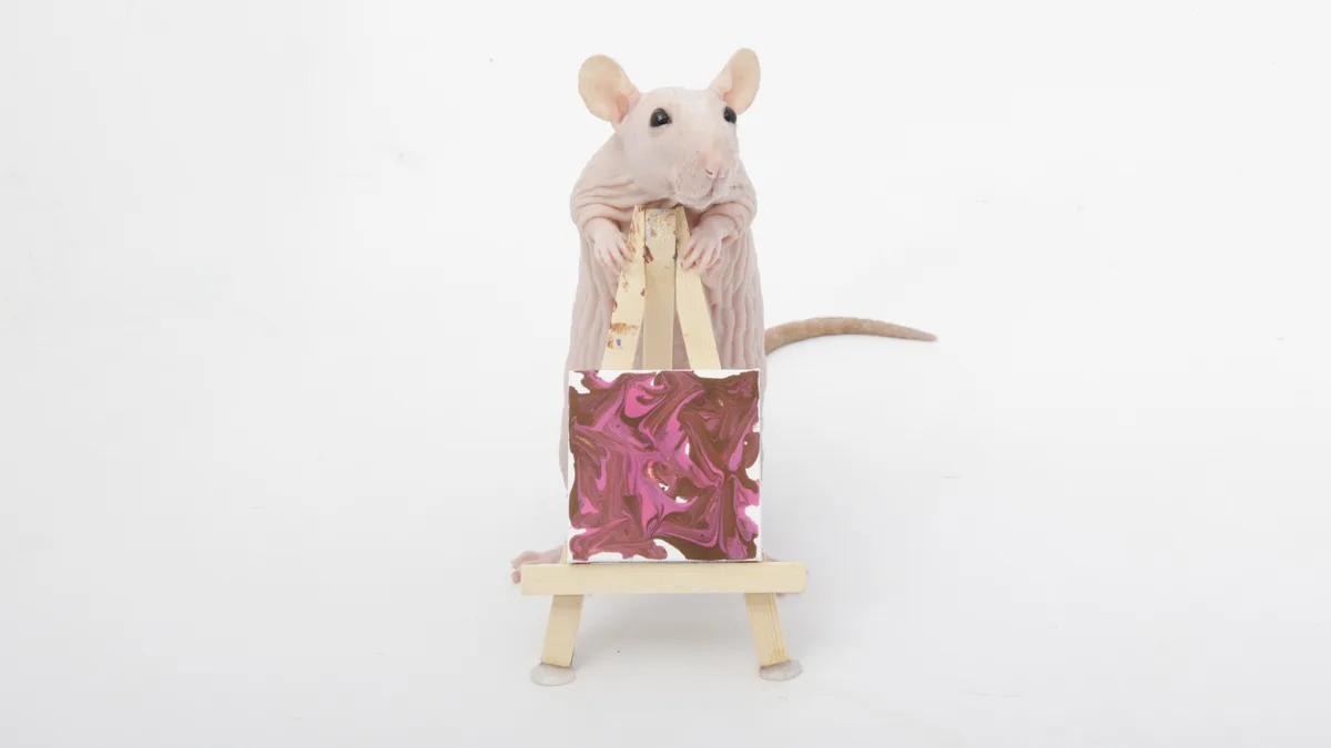 My Adorable Pet Rats and Their Tiny Paw Print Masterpieces!