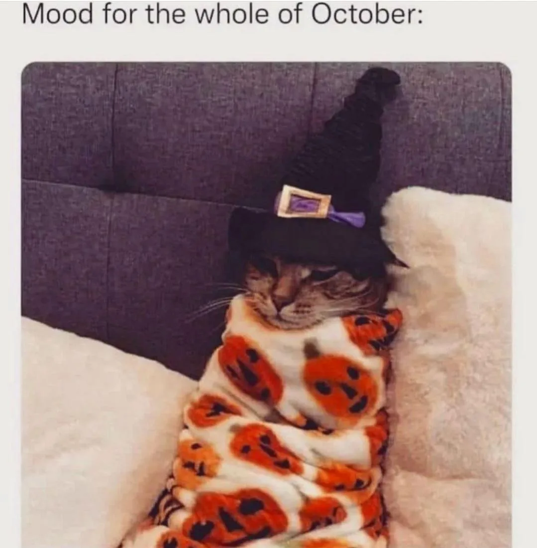 A cat is wrapped in a white blanket with orange jack-o'-lantern faces, wearing a black witch's hat with a purple buckle…