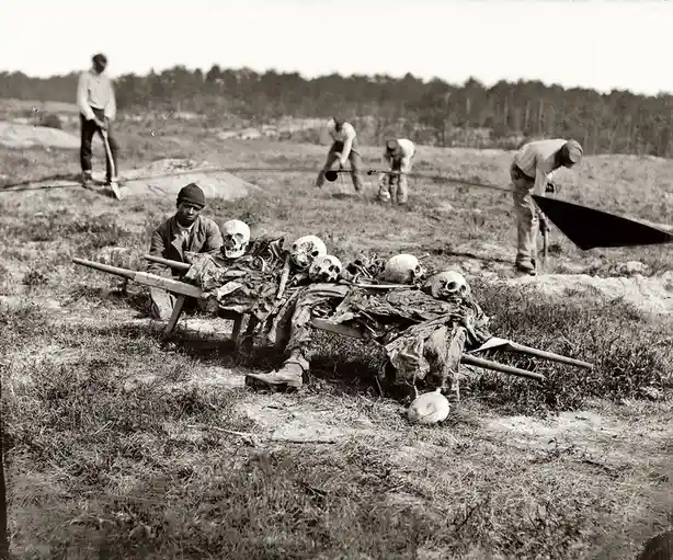 A black-and-white historical photo shows a man pushing a wheelbarrow filled with human skulls and decaying flesh, while…