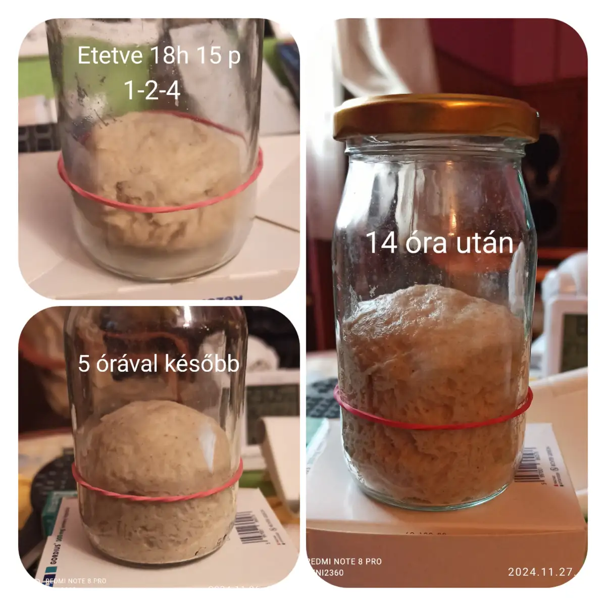 A collage shows a glass jar with dough inside, marked with Hungarian text indicating it was fed at 18:15 on 1-2-4, then…