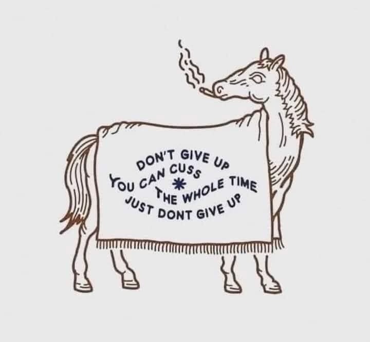 A hand-drawn illustration of a horse wearing a blanket that reads 'DON'T GIVE UP YOU CAN CUSS THE WHOLE TIME JUST DONT GIVE…