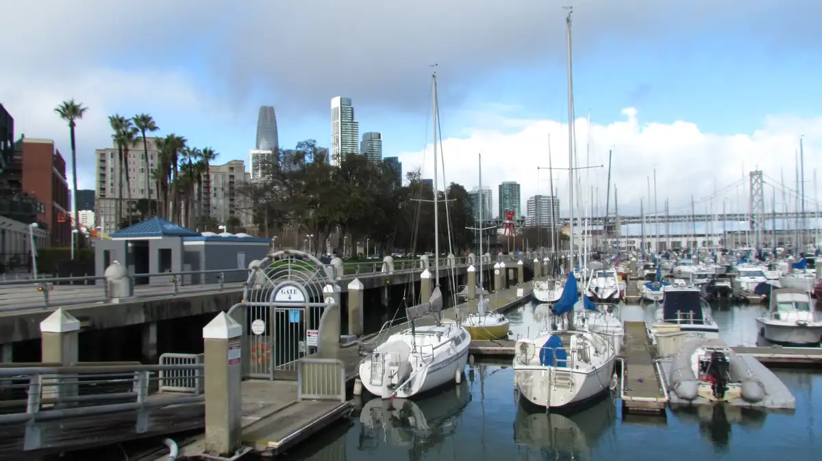 Finally, a Break in the Weather: Sunshine Ahead!