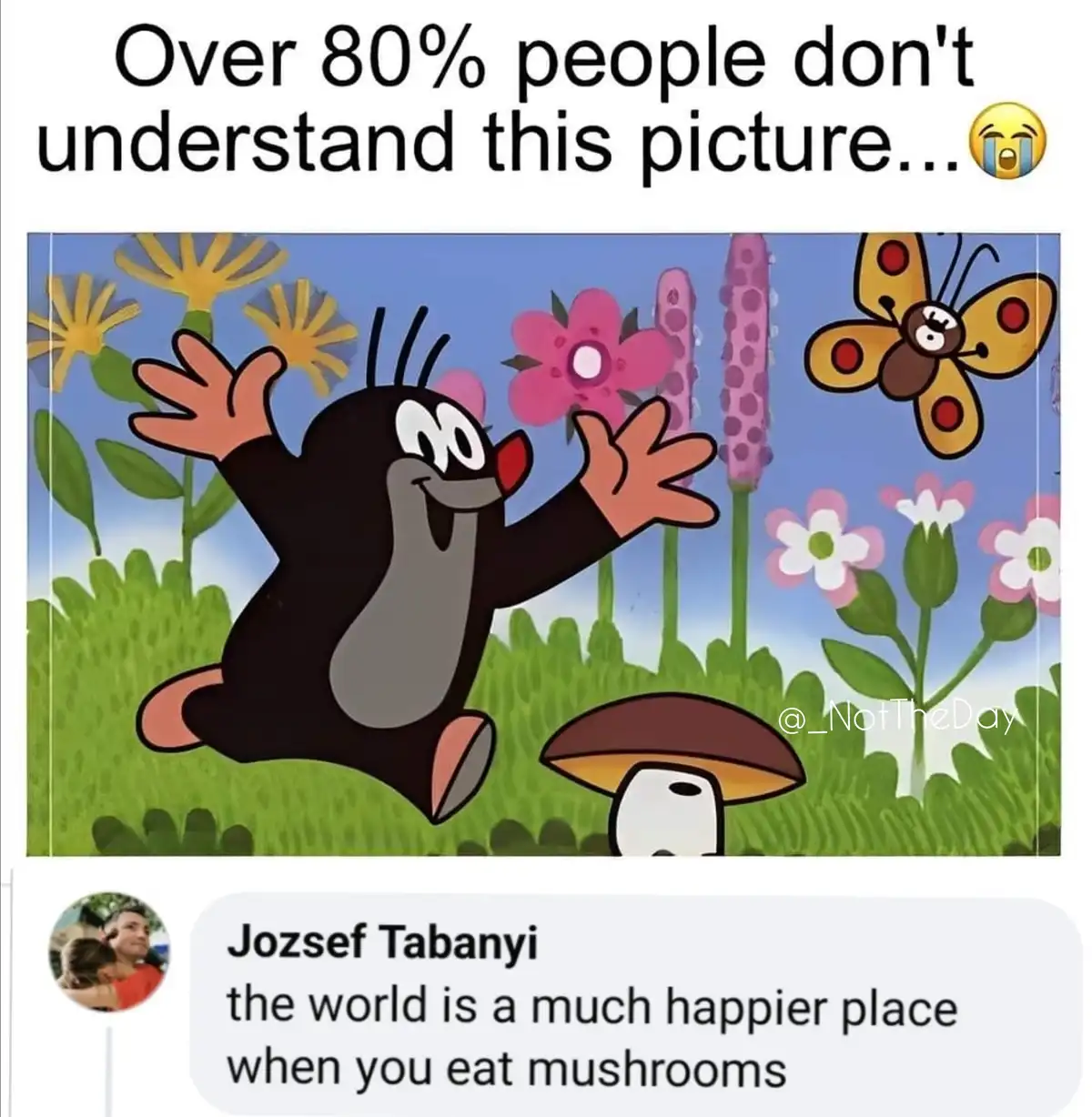 A cartoon mole with a joyful expression leaps in a grassy field filled with colorful flowers and a butterfly. A small…