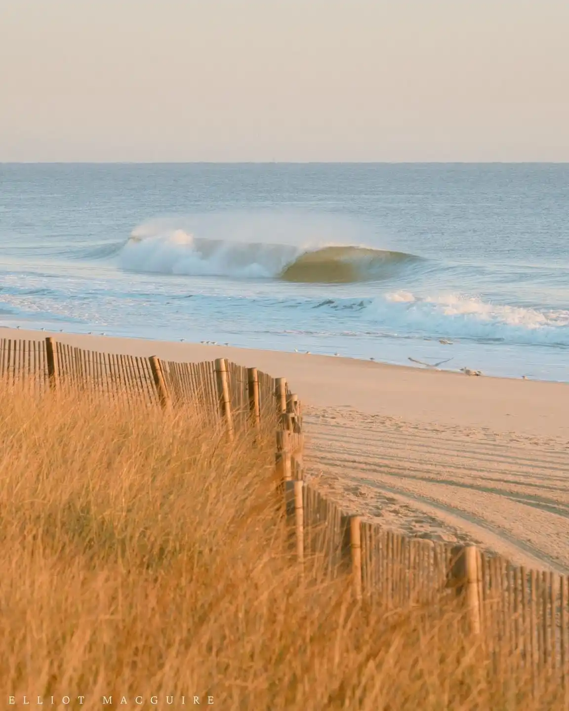 A serene beach scene with a large, curling ocean wave in the distance, framed by a wooden fence and golden beach grass in…