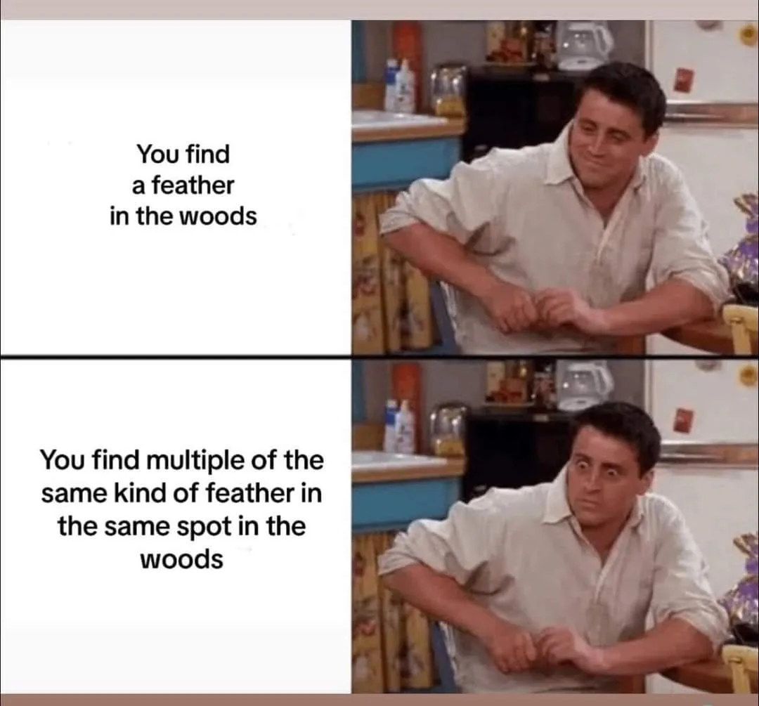 A two-panel meme featuring Joey Tribbiani from 'Friends' in a kitchen setting. In the top panel, he has a calm, slightly…