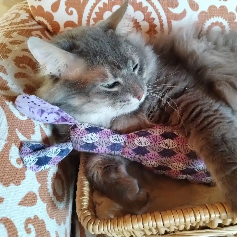 A fluffy gray and brown cat with green eyes is curled up sleeping in a woven wicker basket. The cat has a colorful patterned…