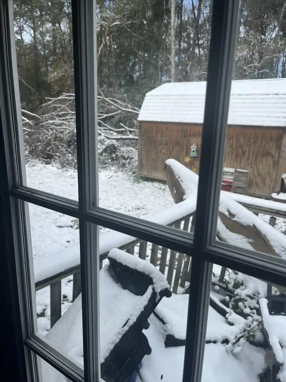 A view from inside a house looking out through a multi-paned window at a snowy backyard. Snow covers the ground, a wooden…