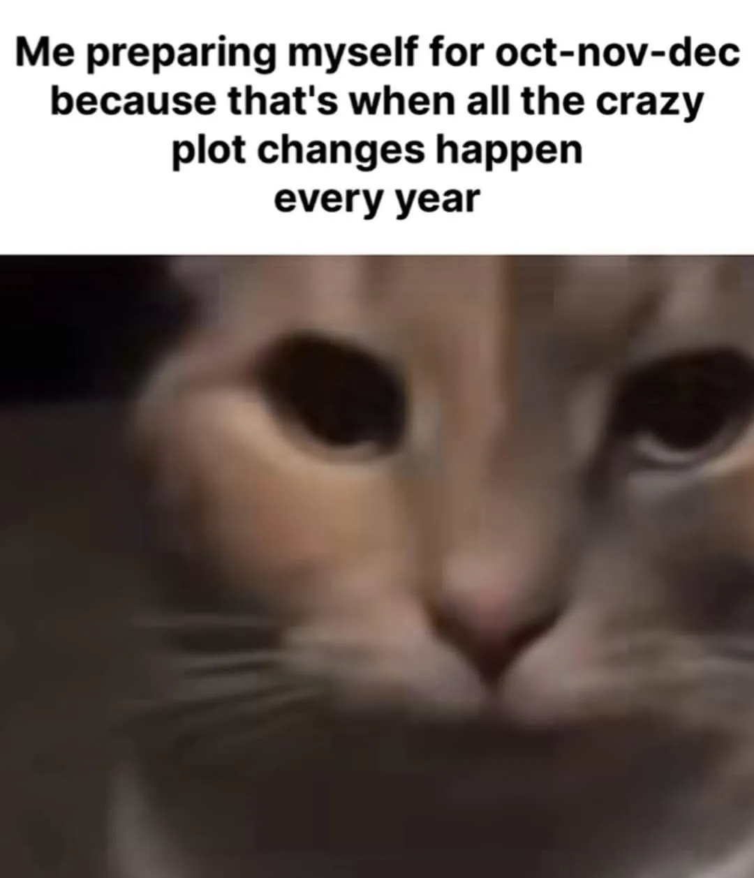 A blurry close-up of a cat's face, showing large dark eyes and a pink nose, with black text overlaid at the top reading 'Me…