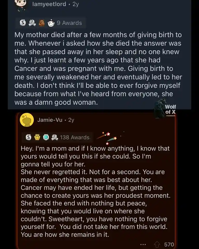 The image displays two Reddit comment sections. The top comment, by user 'lamyeetlord', recounts how their mother died…
