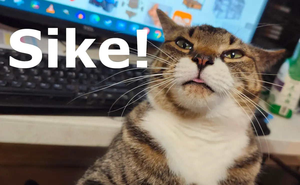 A close-up of a tabby cat with a white chest sitting on a desk in front of a computer monitor and keyboard. The cat has a…
