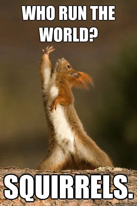 A red squirrel stands upright on a tree branch, one paw raised as if posing or questioning, against a blurred natural…