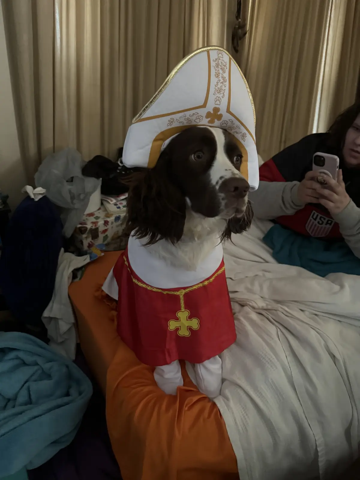 My dog rocking a pope costume