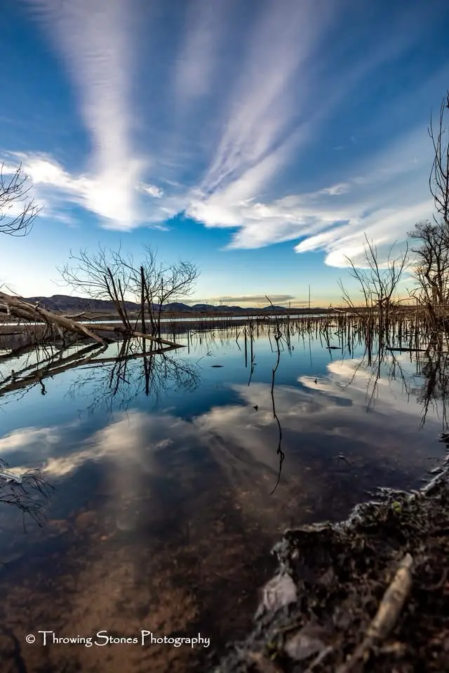 A serene landscape photo shows a calm body of water reflecting a vibrant blue sky with streaky clouds and bare tree…