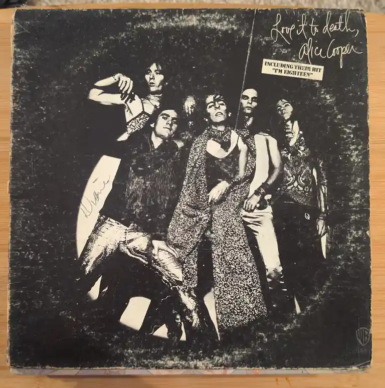 Mom's Epic Vinyl Collection: The First of Many