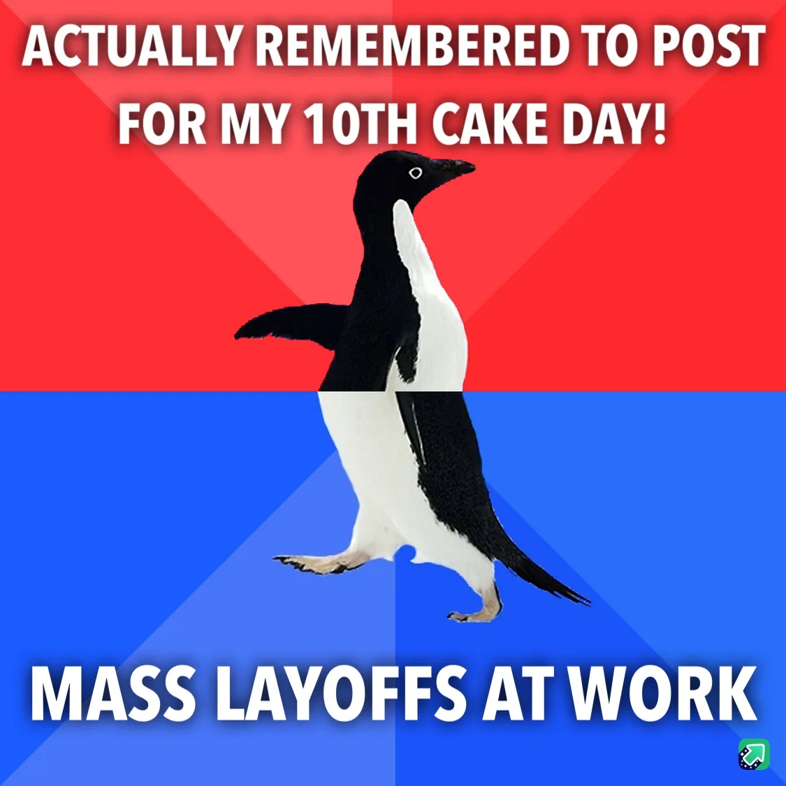 A penguin stands centered against a red and blue background, with white text at the top reading 'ACTUALLY REMEMBERED TO POST…