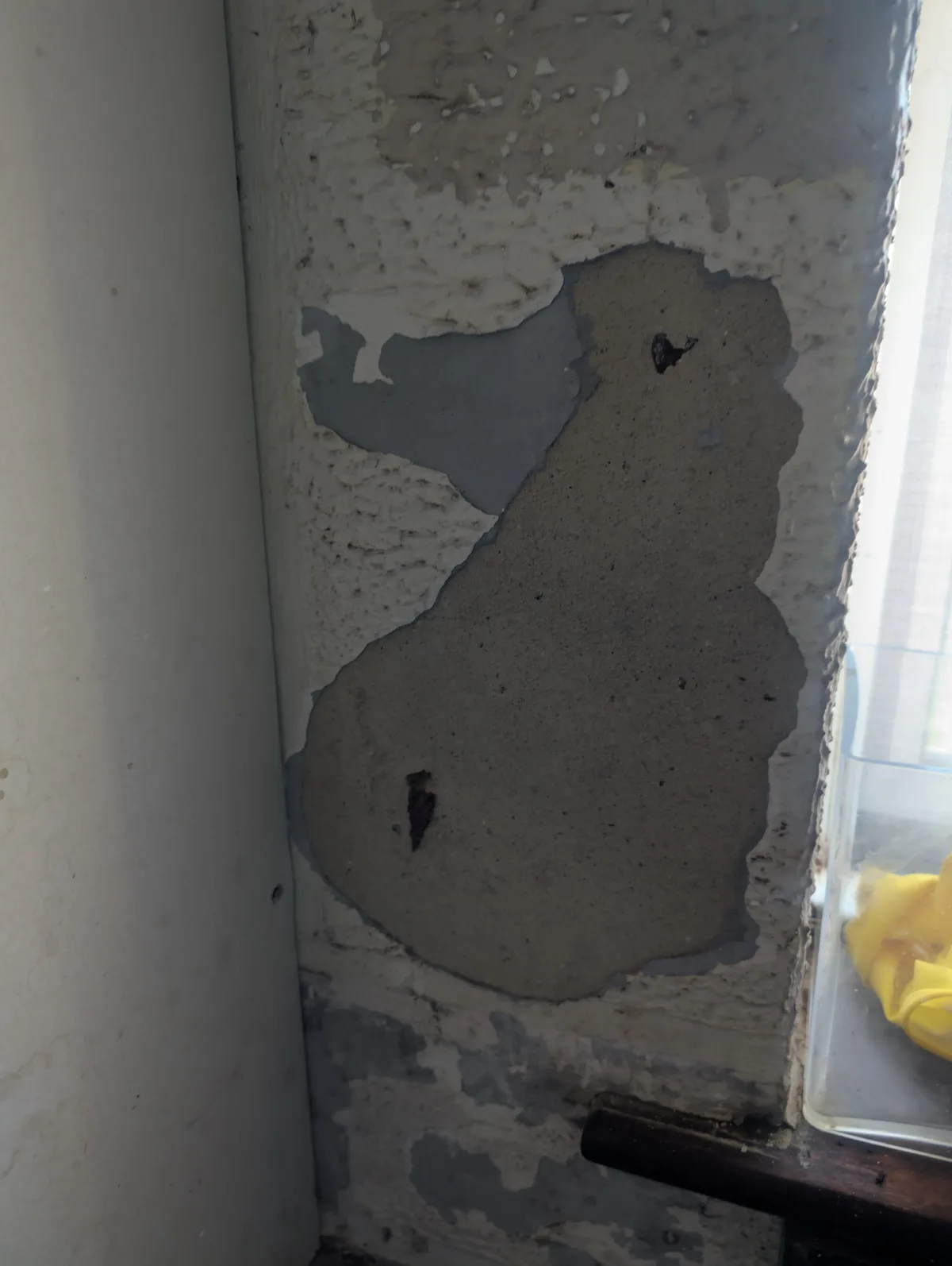 A close-up photo shows a patch of peeling paint on a concrete wall, revealing a rough, gray surface underneath. The exposed…