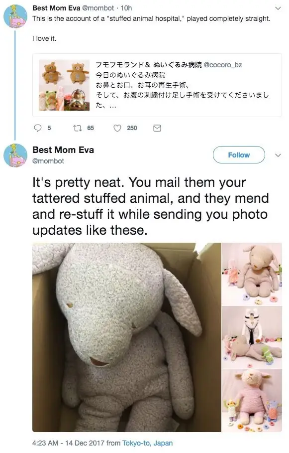 A screenshot of a tweet by 'Best Mom Eva' showing a large, worn-out stuffed lamb in a cardboard box, alongside three smaller…