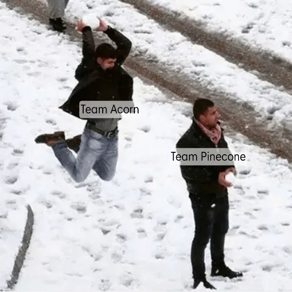 Two men in snow gear are shown in a snowy outdoor setting. One man is mid-air, arms raised in celebration, labeled 'Team…