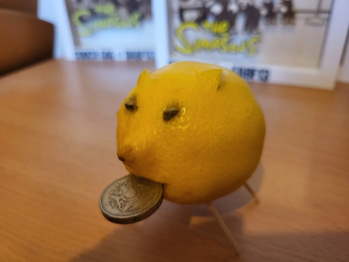 A yellow lemon has been carved and arranged to resemble a small animal, with two small holes for eyes and tiny cutouts for…