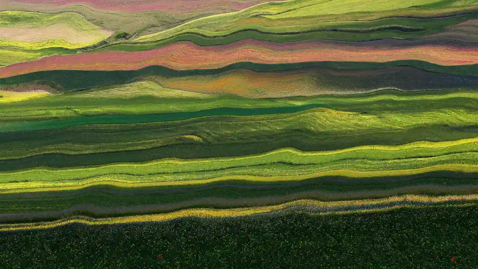 In central Italy, midway down the Apennine Mountains, lies the breathtaking Monte Vettore. Below, the Piano Grande valley…