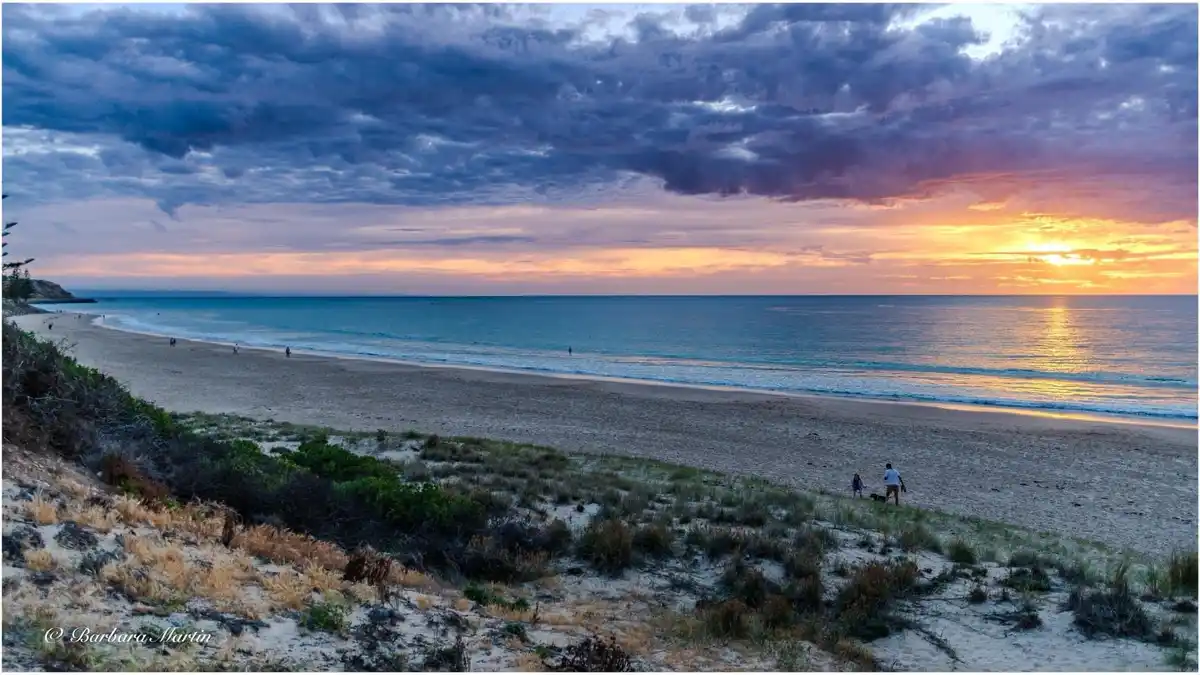 A scenic beach sunset photo with a dramatic purple and orange sky over the ocean, a sandy shore with sparse vegetation in…