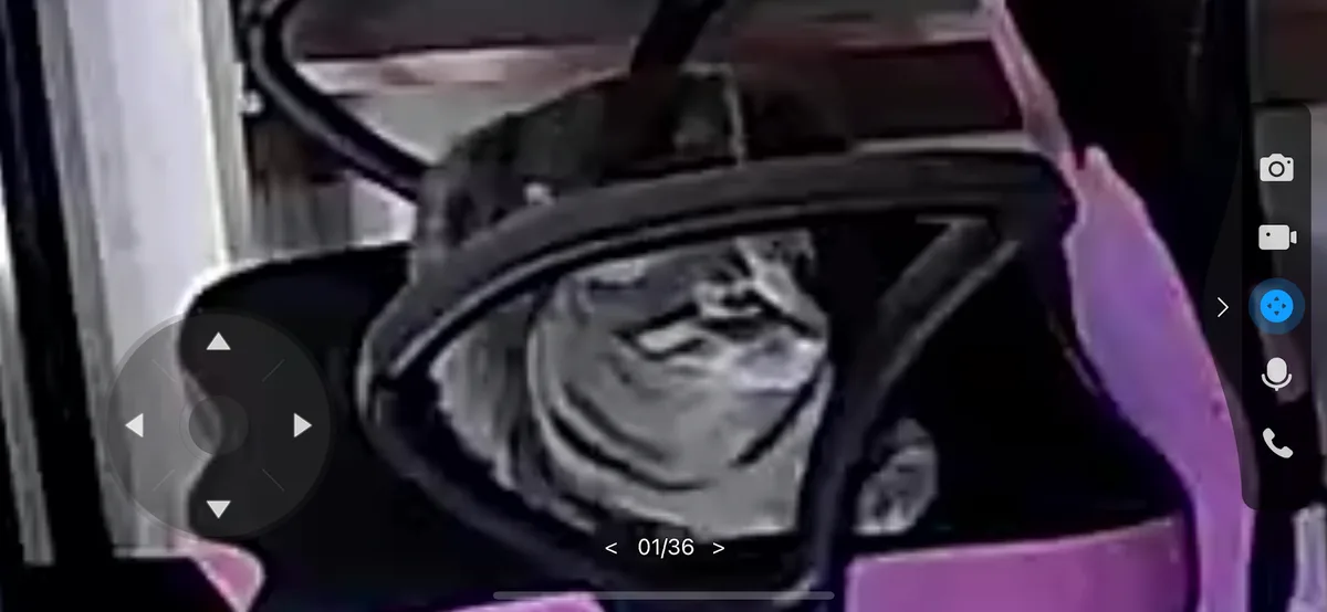 A blurry, low-resolution image shows a person's face inside what appears to be a vehicle, with a distorted, almost cat-like…