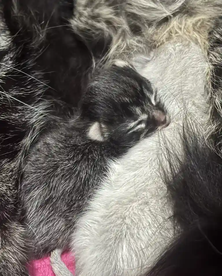 Adorable Babies That Melt Your Heart!