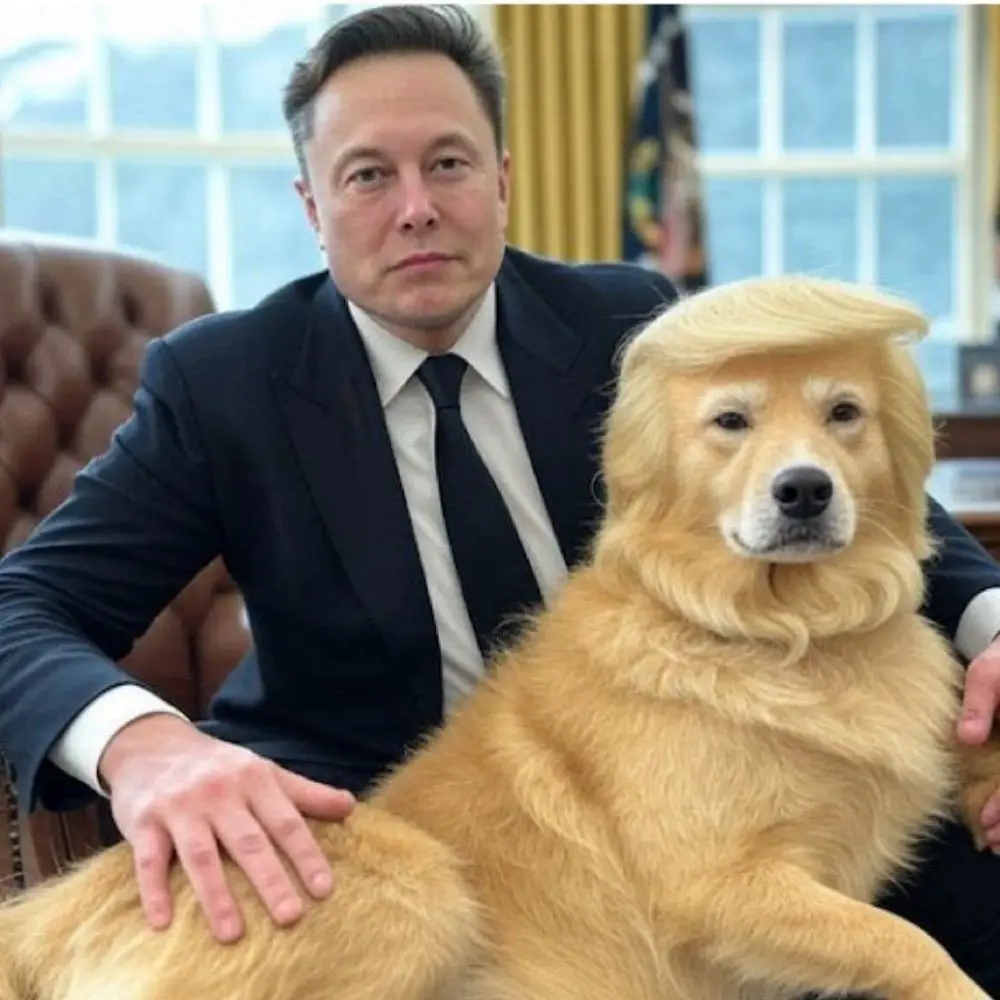 elton john is sitting in an office chair next to a golden retriever wearing a wig that resembles donald trump's signature…