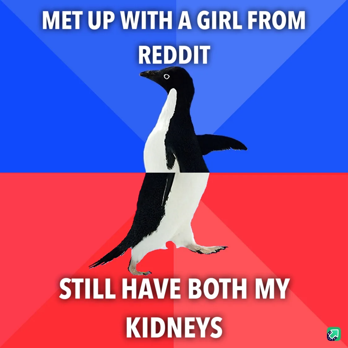 A black-and-white penguin walks across a blue-and-red background, with white text at the top reading 'MET UP WITH A GIRL…