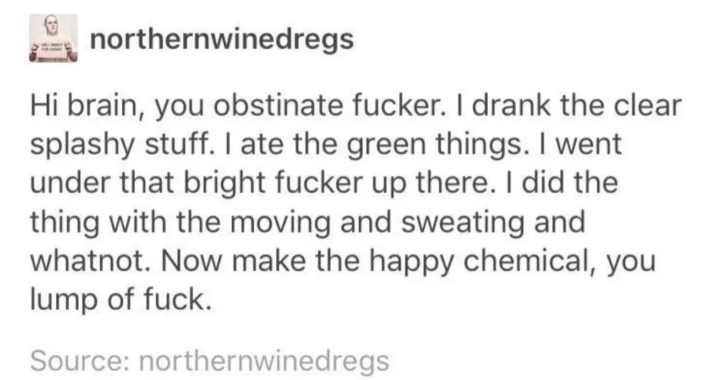 A screenshot of a Reddit post by user 'northernwinedregs' with a rant directed at 'brain' listing activities like drinking…