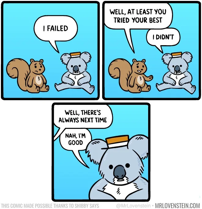 A three-panel comic strip featuring a cartoon squirrel and koala. In the first panel, the koala says 'I FAILED' while the…