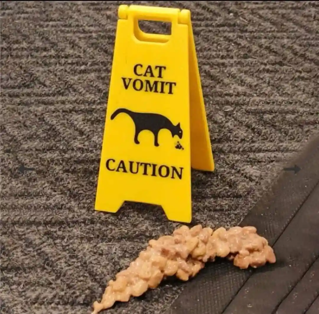 A yellow caution sign on a carpeted floor reads 'CAT VOMIT' above a black silhouette of a vomiting cat and 'CAUTION' below…