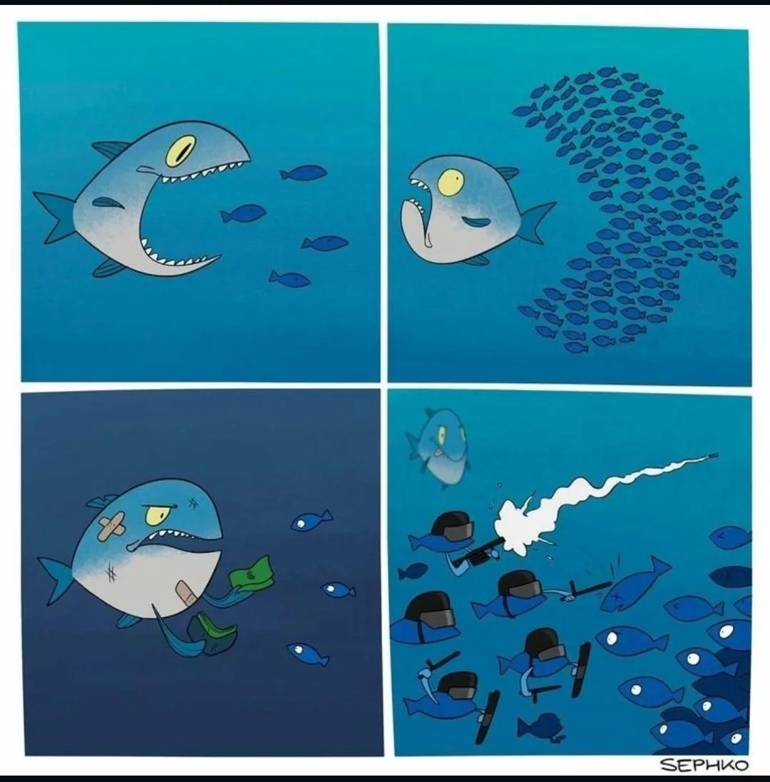 A four-panel cartoon shows a shark trying to eat small fish, then being overwhelmed by a school of fish. The shark is later…