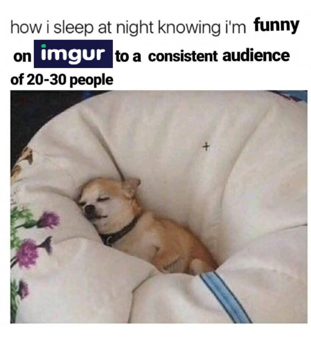 A small, light brown chihuahua is sleeping peacefully inside a white, cushioned dog bed. The dog has its eyes closed and is…