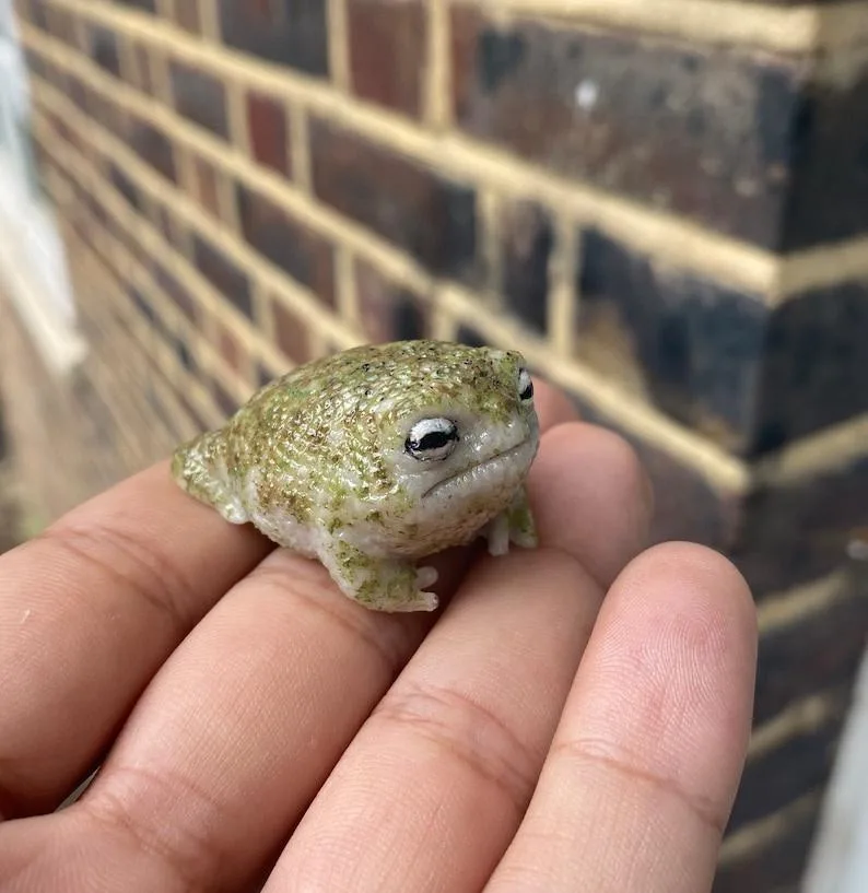 A tiny, mossy green frog with large, expressive eyes sits on a person's open palm, looking directly at the camera with a…