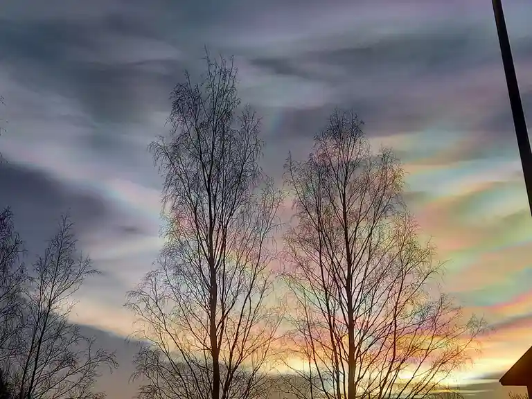 A photograph of bare trees silhouetted against a dramatic sky with iridescent, rainbow-like clouds. The overlaid text reads…