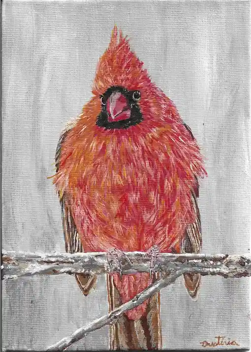 My Artistic Take on Male and Female Cardinals