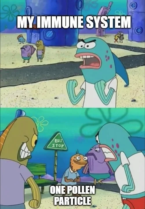 The meme uses two panels from SpongeBob SquarePants. In the top panel, a large, angry-looking fish character (Mr. Krabs) is…